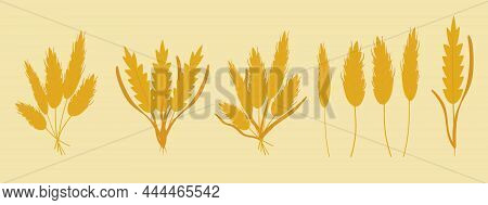 Bouquets Of Wheat, Dried, Rye, Barley Ears, Wheat Germ Grains. Cute And Flat Style. Beautiful Illust