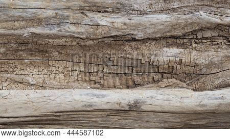 The Texture Of The Tree Trunk, The Rough Gray-brown Surface Of The Wood With A Natural Pattern. Wood