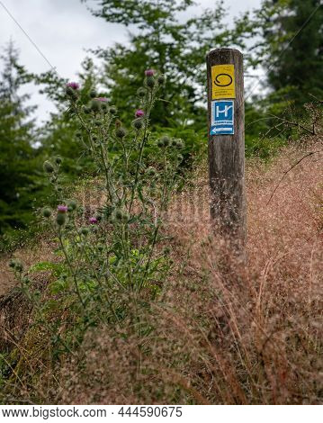 Bergneustadt, Germany - August 14, 2021: Long Distance Hiking Trail Bergischer Panoramasteig With Fo