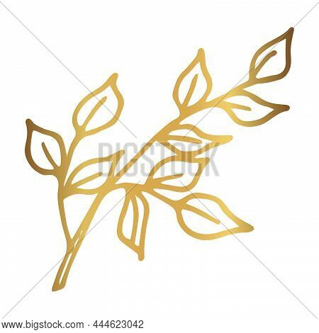Ruscus Golden Twig Isolated. Boho Style Concept   For Wedding Invitation, Greeting Card,  Branding, 