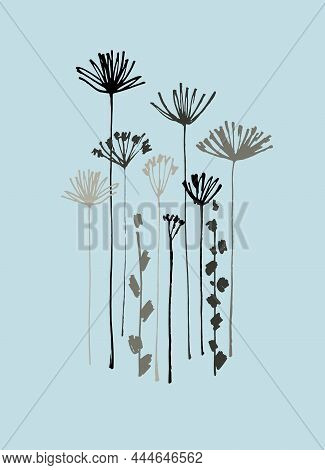 Home Decor Line Art With Hand Drawn Apiaceae Flowering Plants. Contemporary Design For Prints