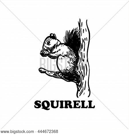 Squirell Hand Drawn Animal Design Logo Vector