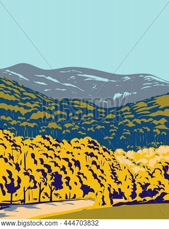 Wpa Poster Art Of Biamanga National Park With Mumbulla Mountain South Of Sydney And North Of Bega In