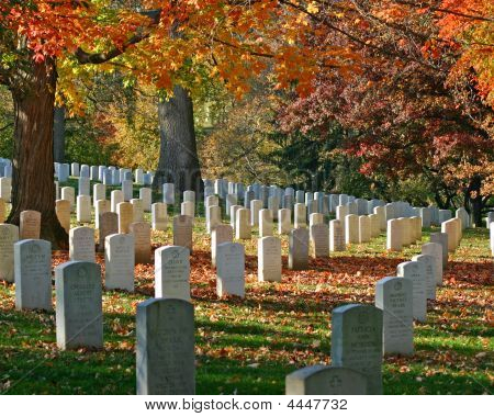 Арлингтон Cemetary осенью листвы