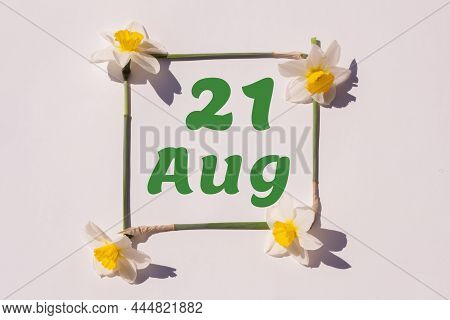 August 21th. Day 21 Of Month, Calendar Date. Frame From Flowers Of A Narcissus On A Light Background