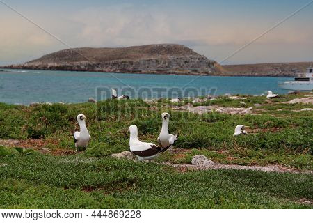 Abrolhos In Southern Bahia