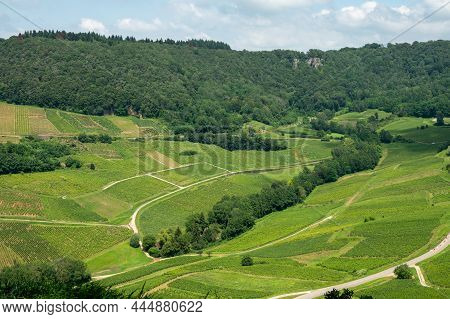 Panoramic View On Green Hilly Vineyards Near Wine Village Chateau-chalon In Jura, France