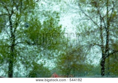 Bäume vor dem Fenster