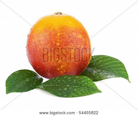 Ripe Red Blood Oranges With Green Leaves Isolated On White Background.