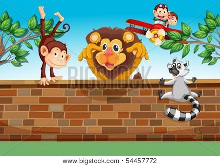 Illustration of the animals playing at the gated backyard