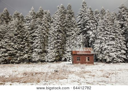winter in the Bolu mountains, Turkey