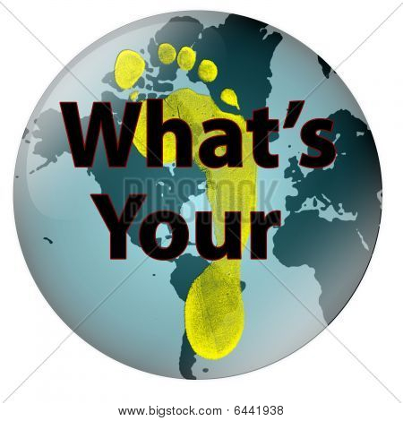 Mondo Footprint