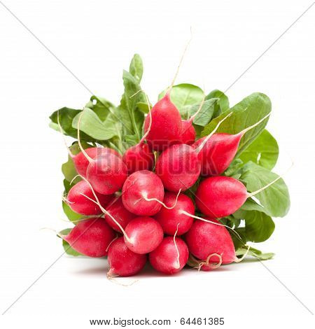 Radish