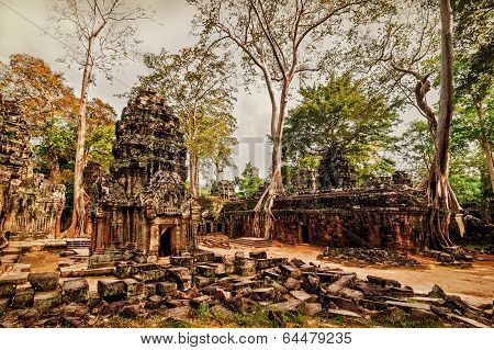 a Prohm temple with giant banyan trees at Angkor Wat complex Siem Reap Cambodia