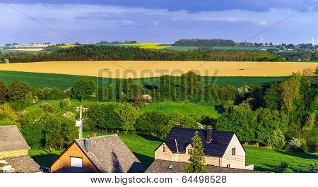 Colorful Rural Landscape With Yellow Bittercress Fields