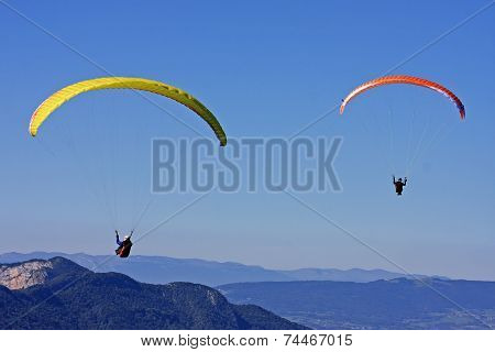 Paragliders