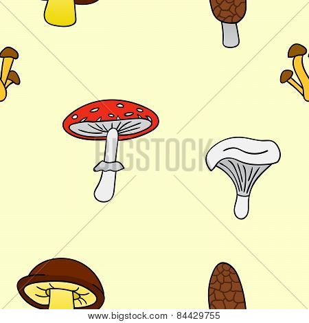 Mushrooms5