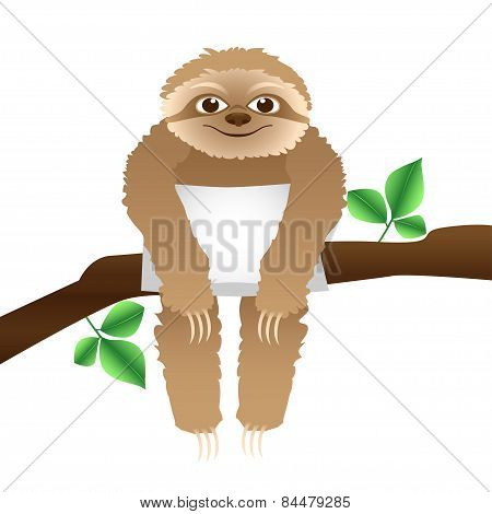 Sloth With A Pillow Sitting On A Branch