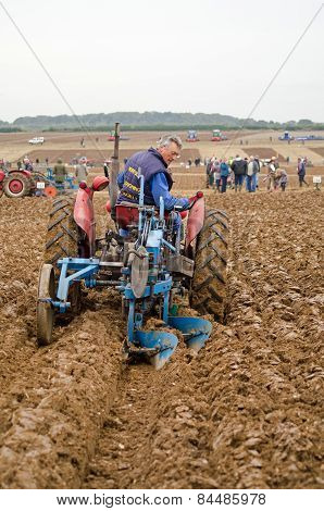 Peter Carman, Ploughman