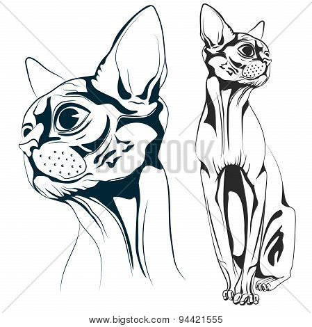 Cat vector