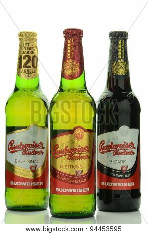 Budweiser lager beer isolated on white background