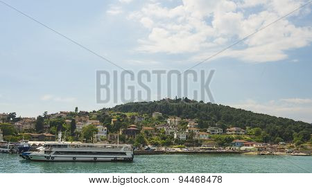 Rural Coastal Hillside With Luxury Housing