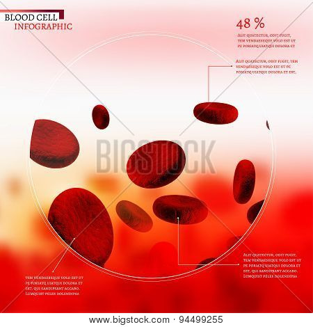 Blood Cell infographic