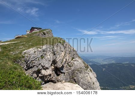 Schafberg, Austrian Alps / Colorful species in the area of Schafberg (Austria)