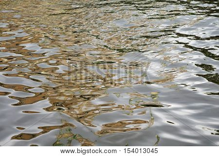 close up shot a water in city.