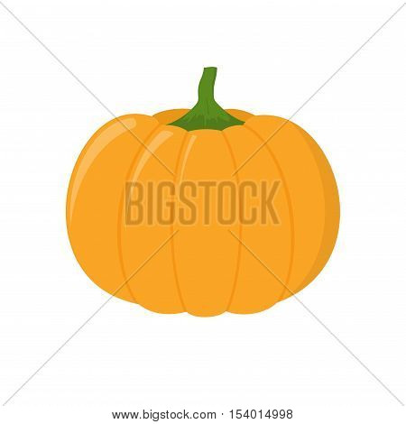 Pumpkin isolated on white background. Autumn pumpkin element oriental bittersweet vector illustration in flat style. Pumpkin icon vegetable. Harvest symbol season decoration.