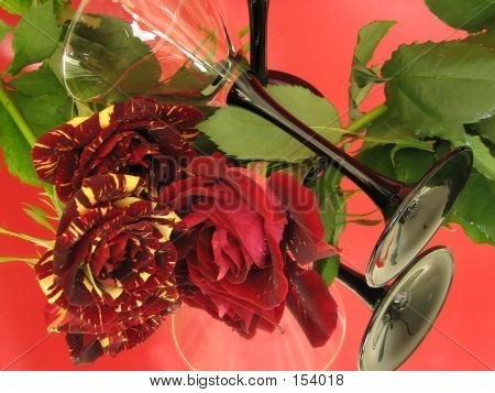 Occhiali & Rose