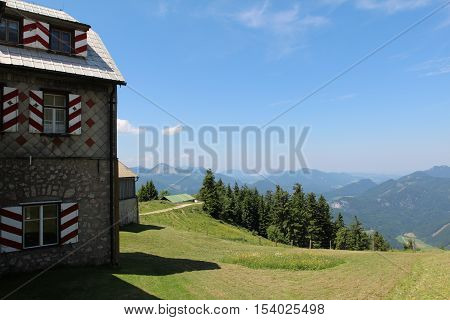 Schafberg, Austrian Alps / Colorful species in the area of Schafberg (Austria)