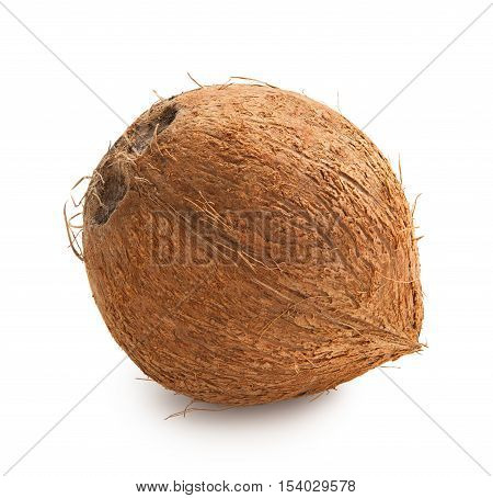 Coconut. Ripe coconut isolated on white background