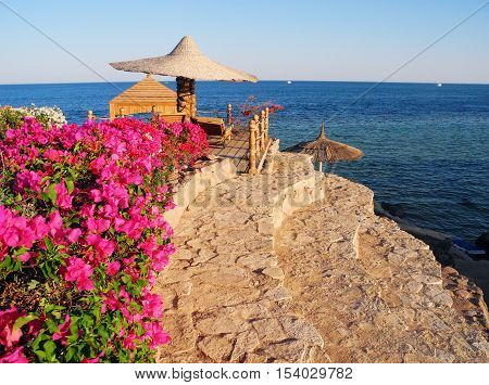 Sharm El Sheikh, Egypt - August 20, 2016: Beach umbrellas and flowers on the coral beach in Sharm El Sheikh.