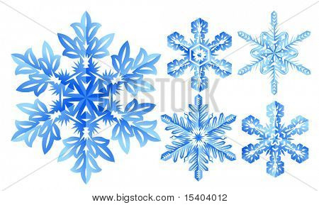 Fiocchi di neve. Vector.