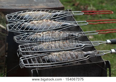 Fish grill / There are fish on the grill and grilled. An raw freshwater fish on the grill. Cooked in traditional style. Cooking of salted fish on a grill stove.