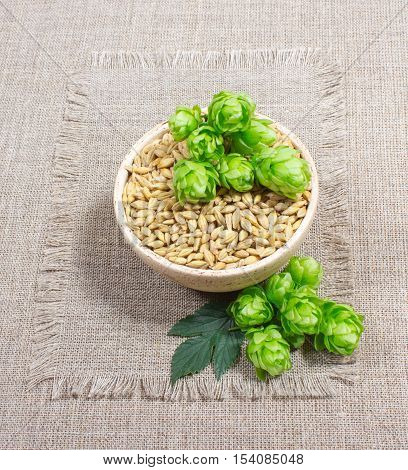 Fresh Hops And Barley Grain - Closeup