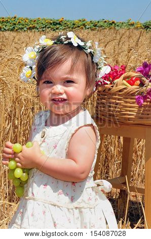 Jewish Holidays - Shavuot
