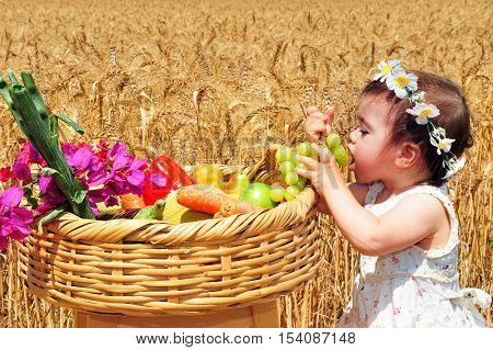 Jewish Holidays - Shavuot