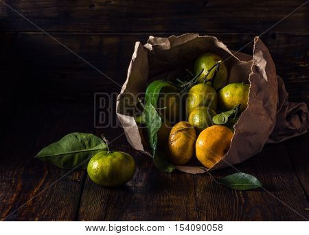Ripe Tangerines with Leaves in Paper Bundle