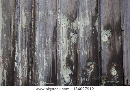 Old wood background with peeling paint texture
