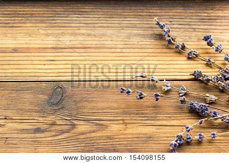 Rustic wooden texture. Natural background with dried lavender herb.