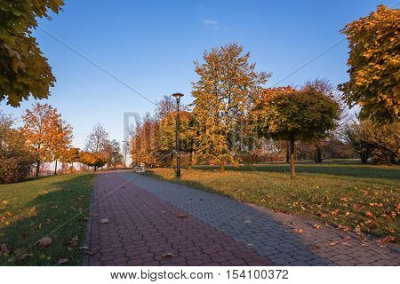 Beautiful colors of autumn in the park at sunset