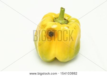 bell peppers grown in your own garden,doty