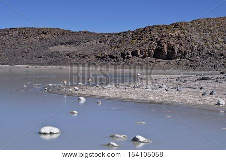 Salt lagoon at the Atacama desert high plateau.