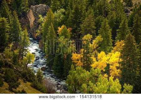 Ten sleep Creek Wyoming Landscape Fall Colours