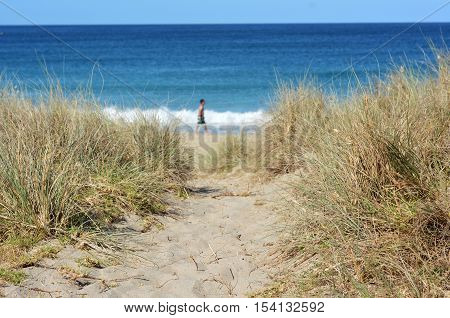 Path leading through sand dunes to the beach with person in the background at Matai bay New Zealand.