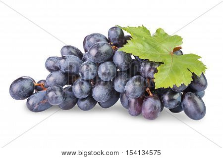 bunch of ripe black grapes with leaves isolated on white background