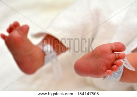 Newborn Baby Feet