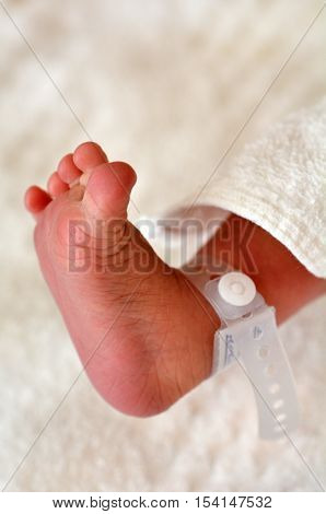 Newborn Baby Foot